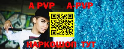 крисы Шебекино