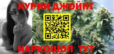 крисы Шебекино