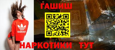 крисы Шебекино